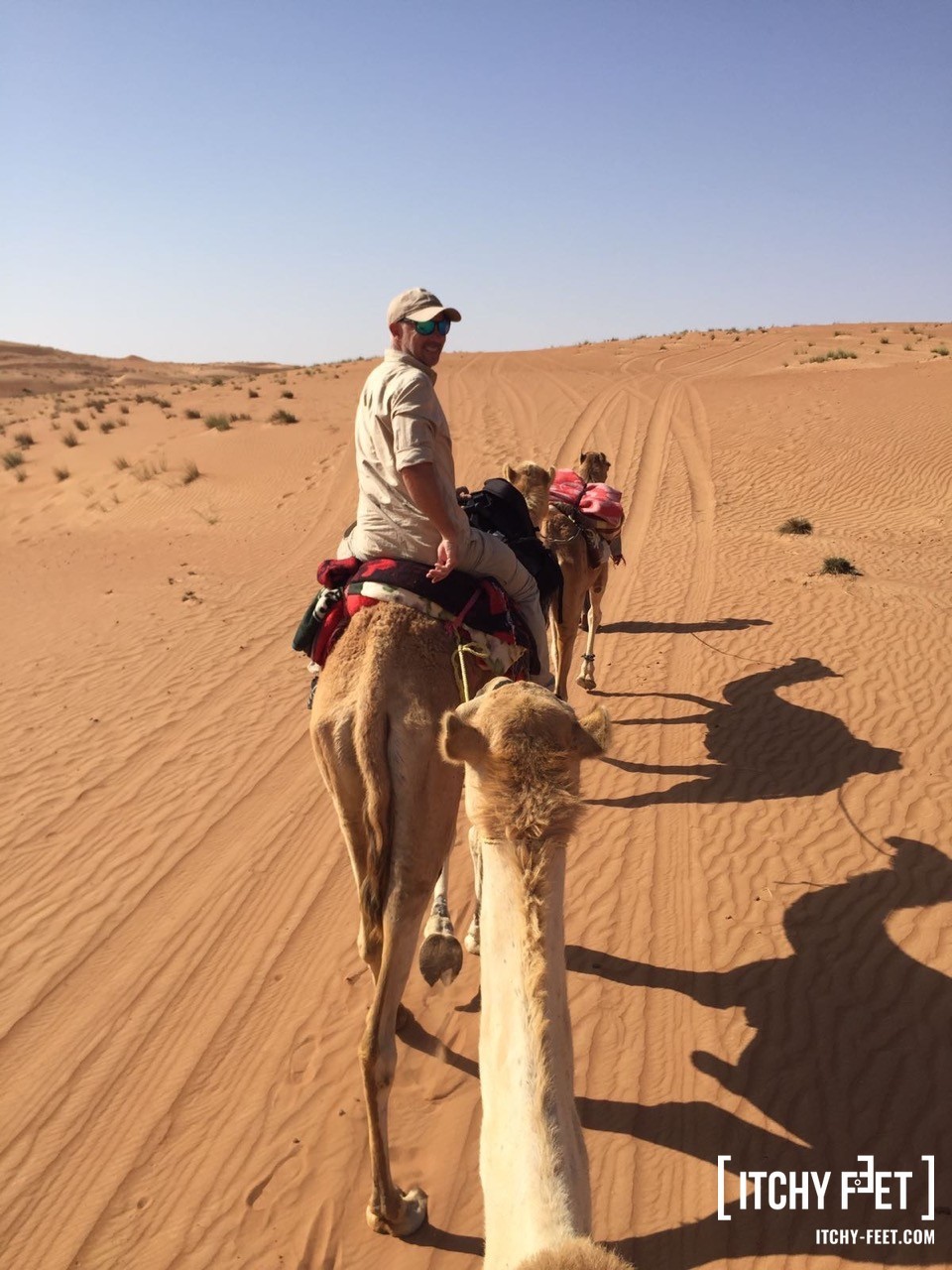 Dromedar reiten im Oman