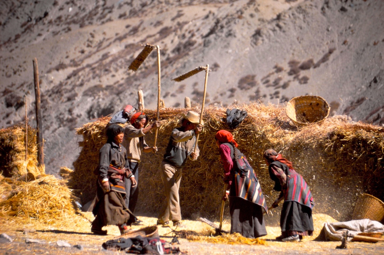 Nepal worker