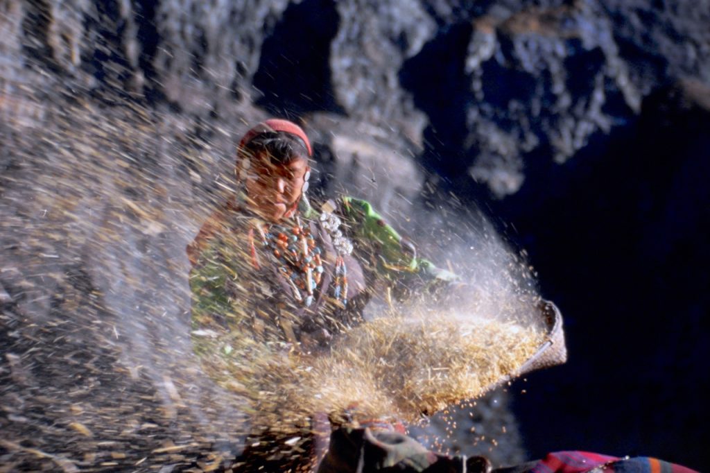 Nepal corn