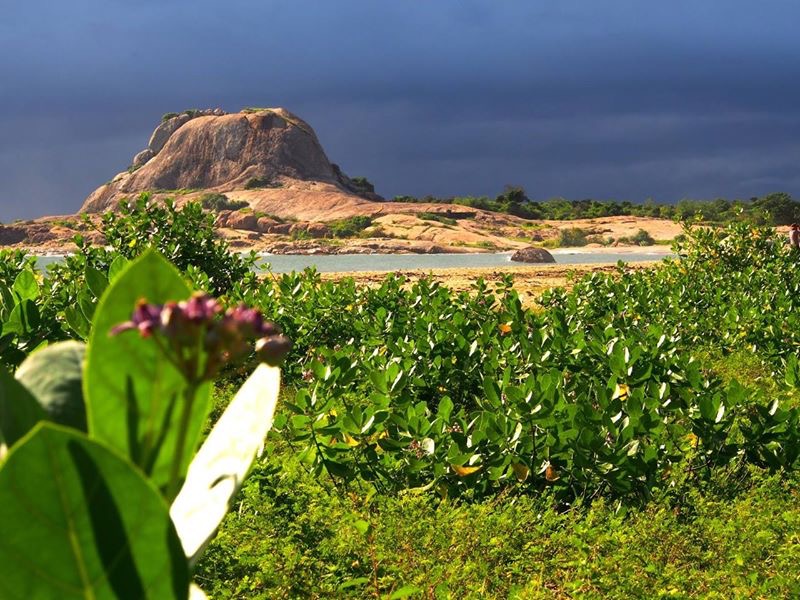 Sri-Lanka-2016-mountain