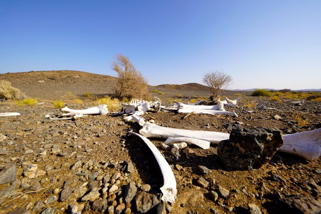 Oman landscape