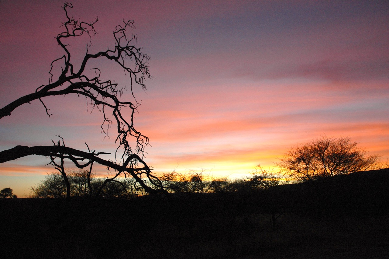 Trip to Namibia 2