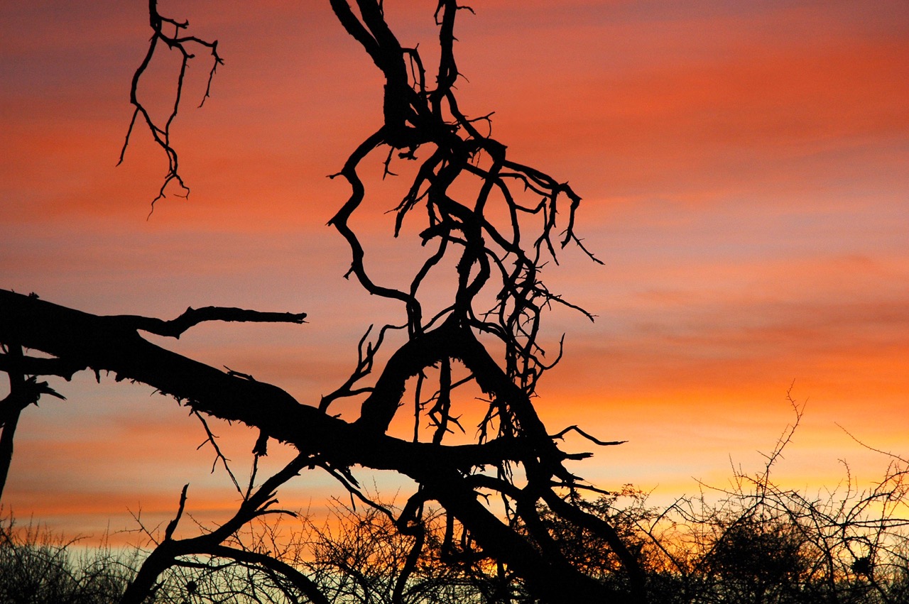 Trip to Namibia